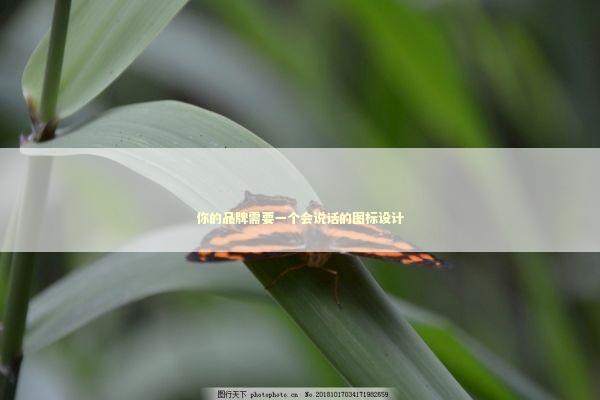 你的品牌需要一个会说话的图标设计 IT技术